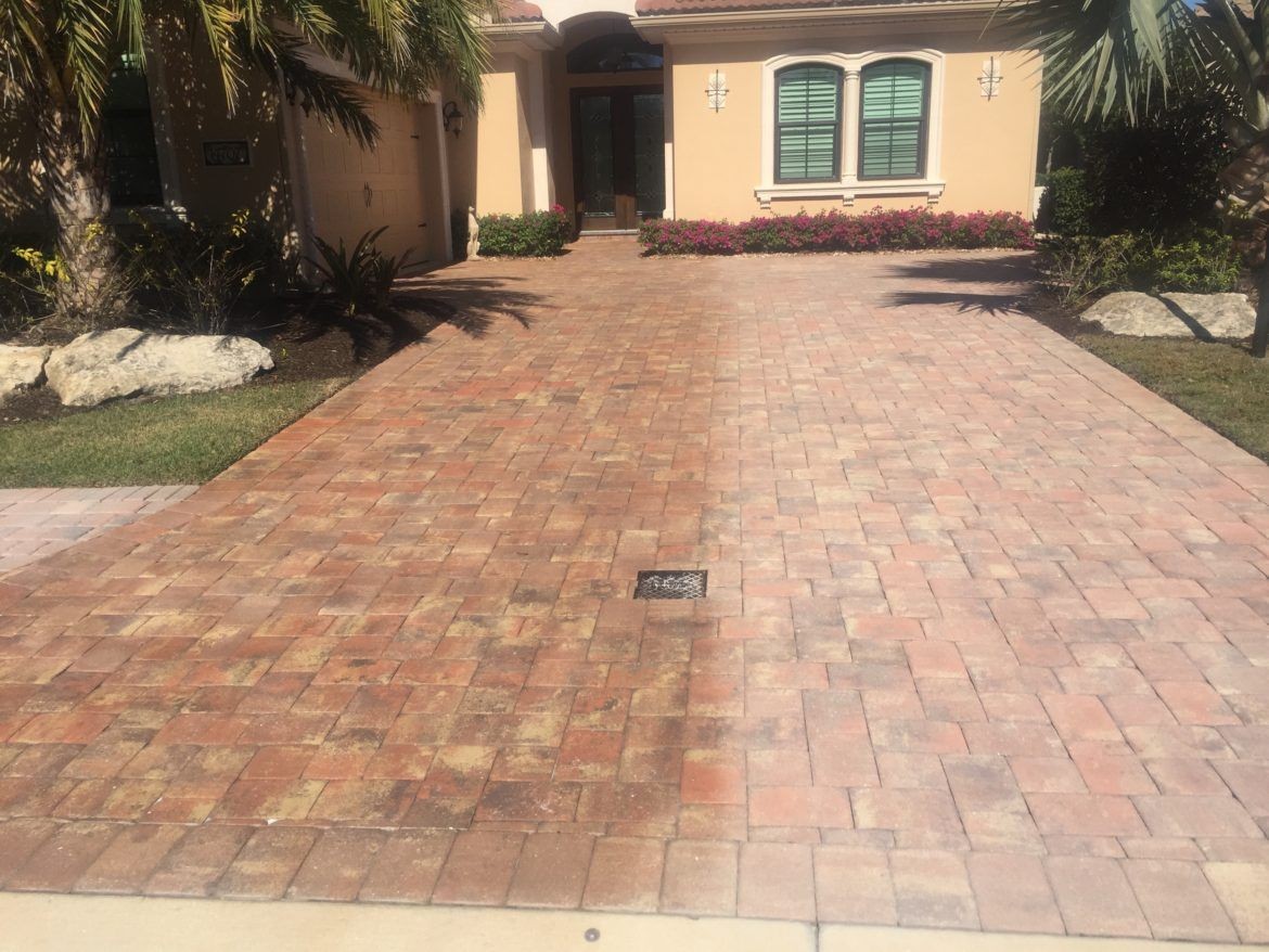 Brick driveway leading to a house entrance with plants and palm trees on the sides.